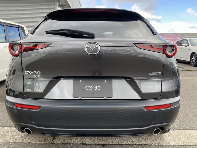 Mazda CX-30 2021-01 11609-7