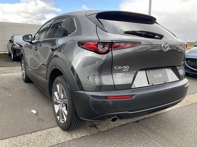 Mazda CX-30 2021-01 11609-2
