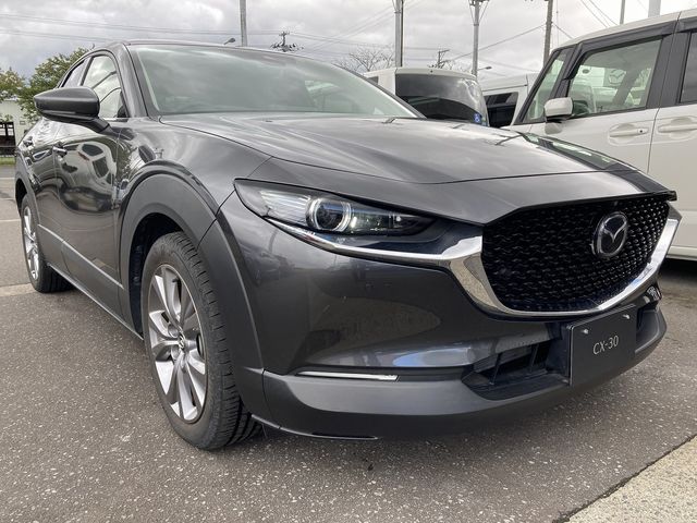Mazda CX-30 2021-01 11609-4