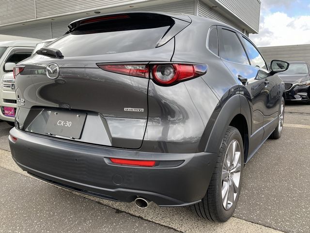 Mazda CX-30 2021-01 11609-6