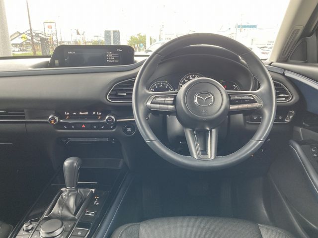 Mazda CX-30 2021-01 11609-12