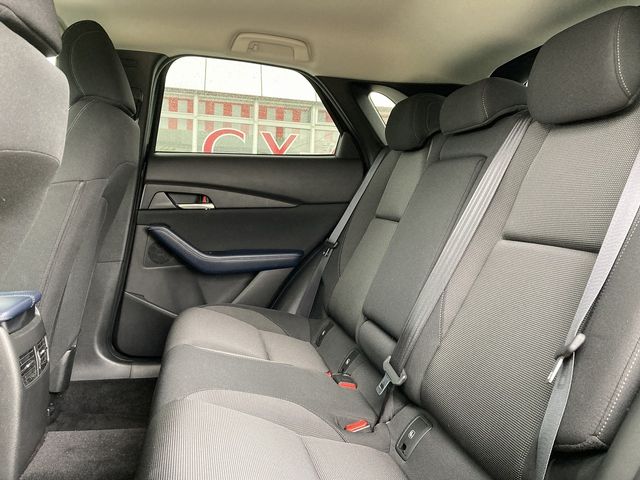 Mazda CX-30 2021-01 11609-14