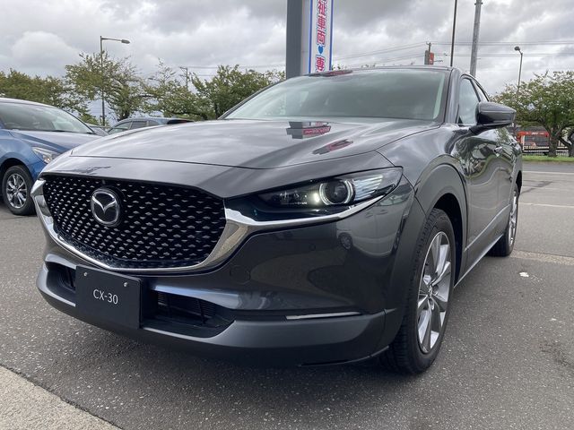 Mazda CX-30 2021-01 11609-0