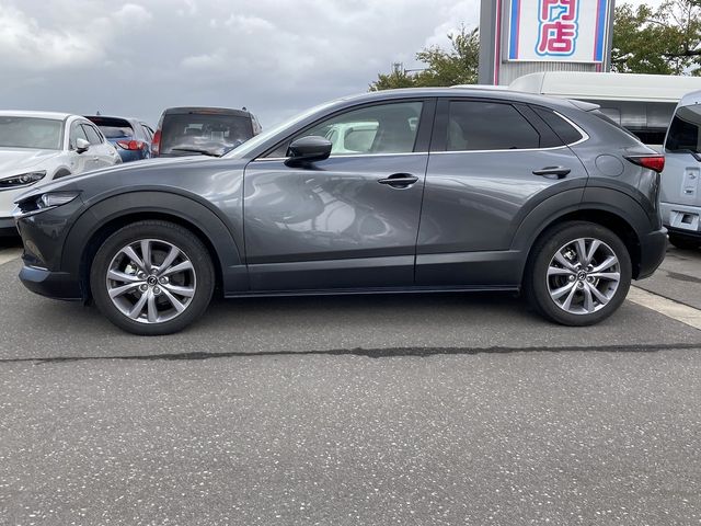 Mazda CX-30 2021-01 11609-8