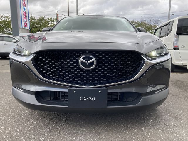 Mazda CX-30 2021-01 11609-3