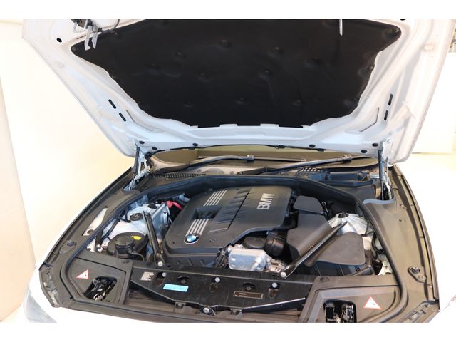Bmw 5 SERIES 2011-02 6898-19