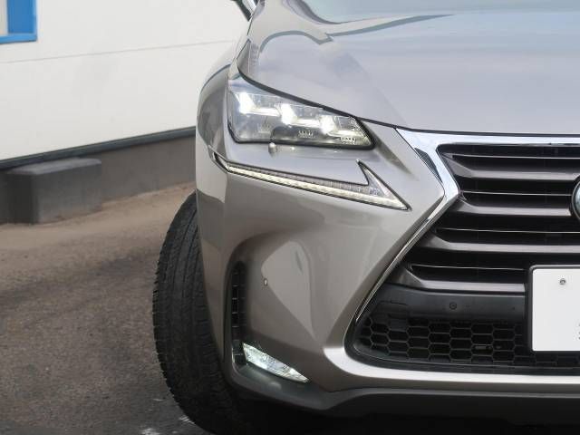 Lexus NX 2015-05 9550-15