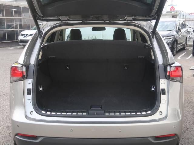Lexus NX 2015-05 9550-14