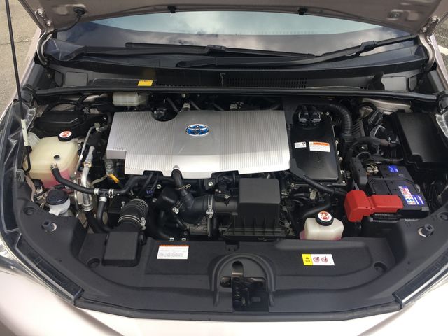Toyota PRIUS 2016-07 10785-19