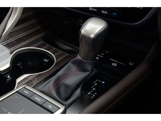 Lexus RX 2020-01 1736-12