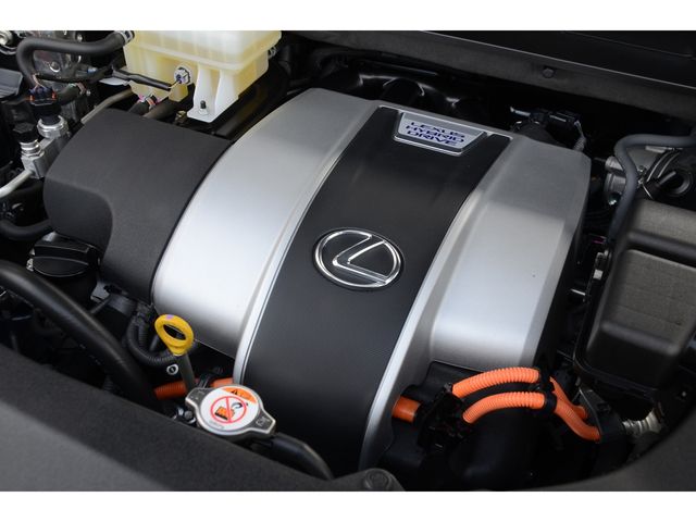 Lexus RX 2020-01 1736-22