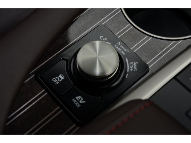 Lexus RX 2020-01 1736-13