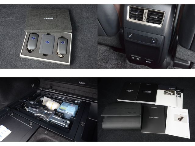 Lexus RX 2020-01 1736-28