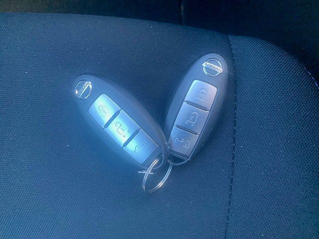 Nissan LEAF 2018-11 195049-7
