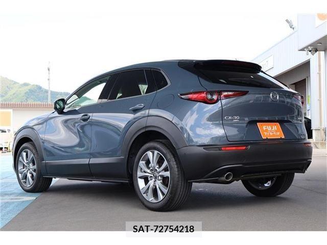 Mazda CX-30 2019-10 265585-1