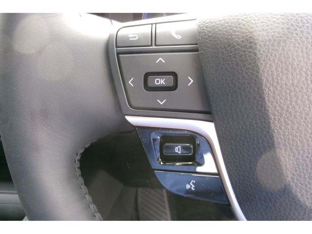 Toyota CROWN 2023-09 21917-10