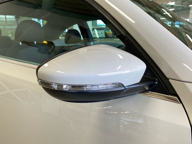 VolksWagen THE BEETLE 2013-06 4007-6