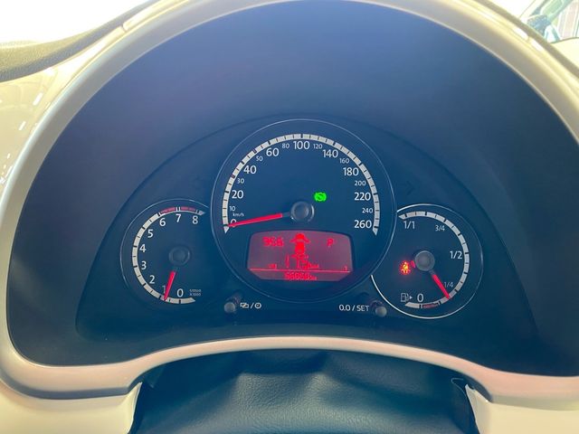 VolksWagen THE BEETLE 2013-06 4007-15