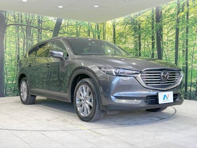 Mazda CX-8 2019-09 195435-17