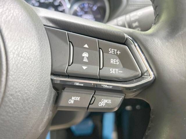 Mazda CX-8 2019-09 195435-6