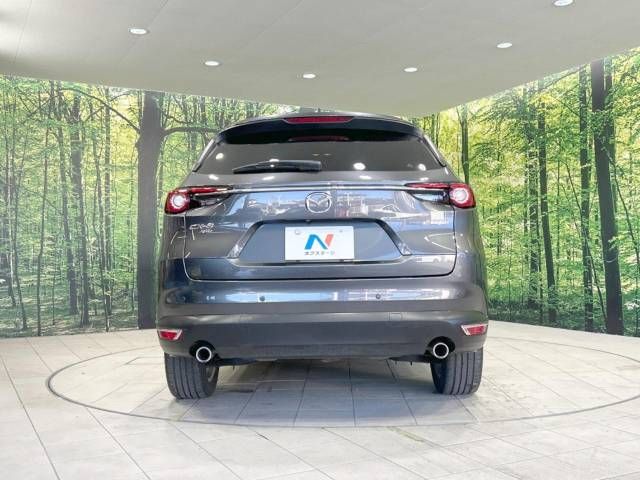 Mazda CX-8 2019-09 195435-16