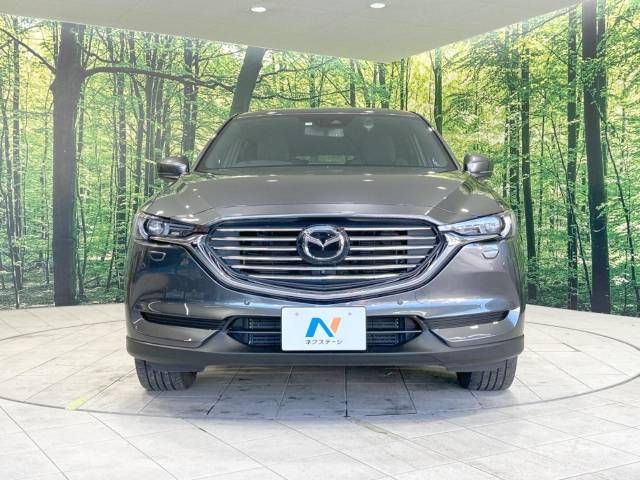 Mazda CX-8 2019-09 195435-15