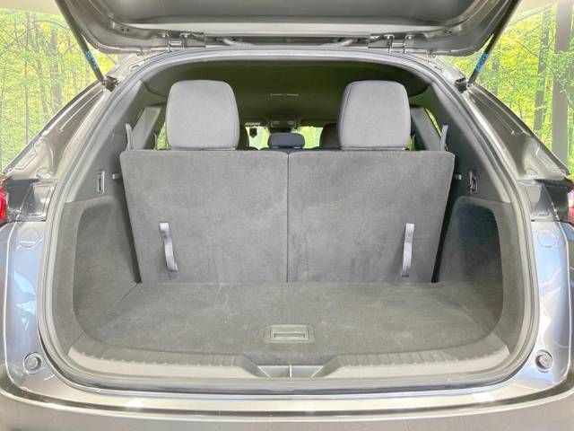 Mazda CX-8 2019-09 195435-11