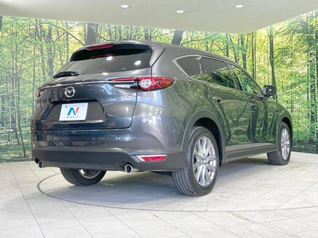Mazda CX-8 2019-09 195435-18