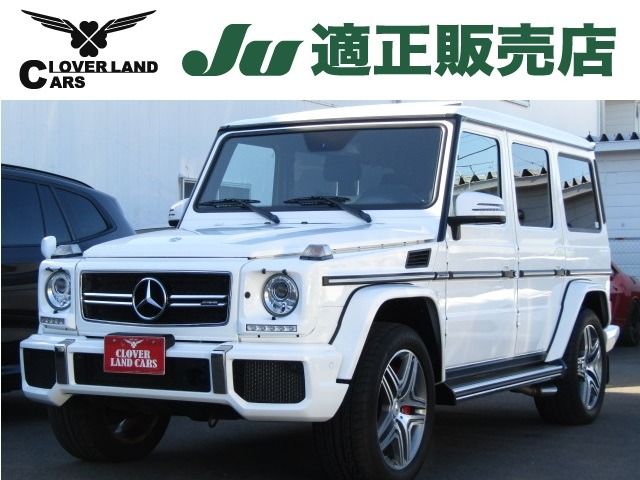 Amg G-CLASS 2016-11 19576-0
