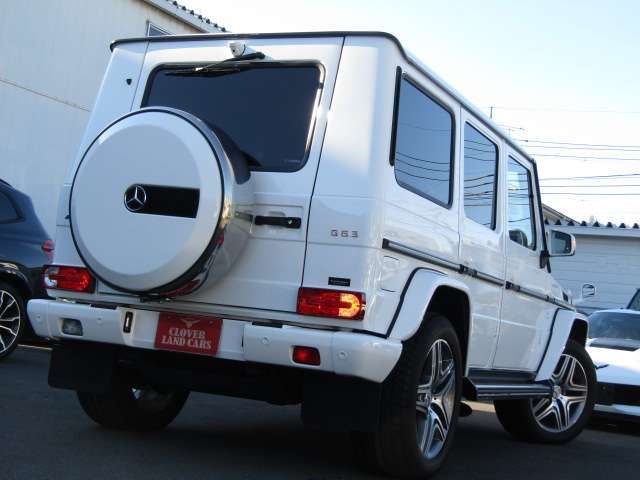 Amg G-CLASS 2016-11 19576-2