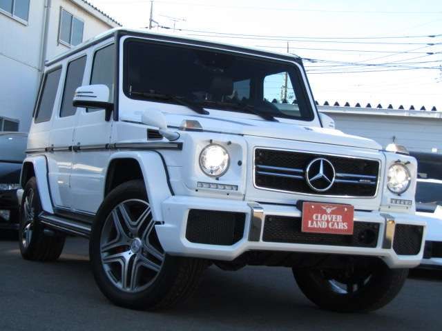Amg G-CLASS 2016-11 19576-1