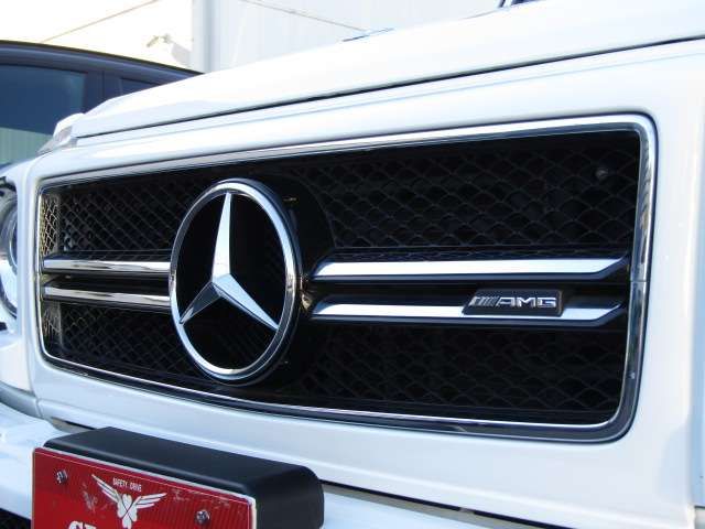 Amg G-CLASS 2016-11 19576-4