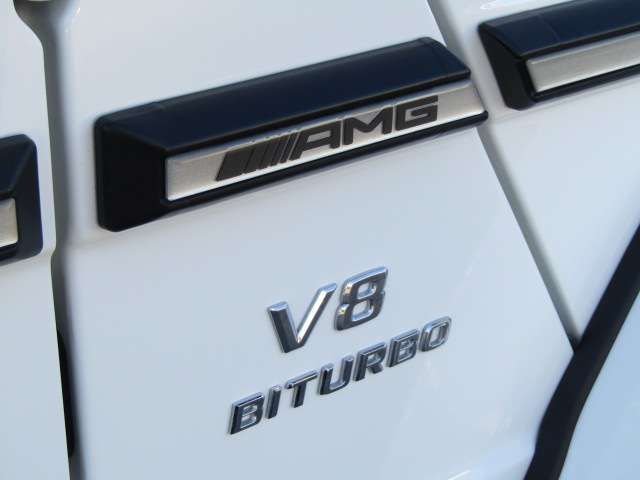 Amg G-CLASS 2016-11 19576-6