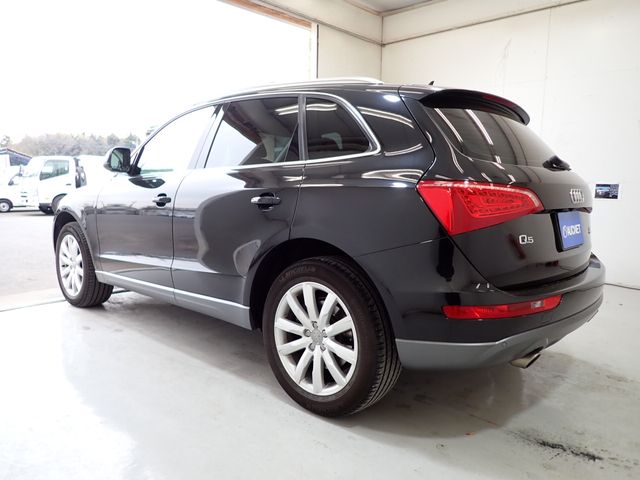 Audi Q5 2011-10 196625-2