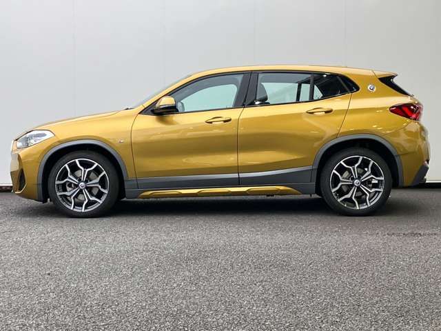 Bmw X2 2022-11 193209-9