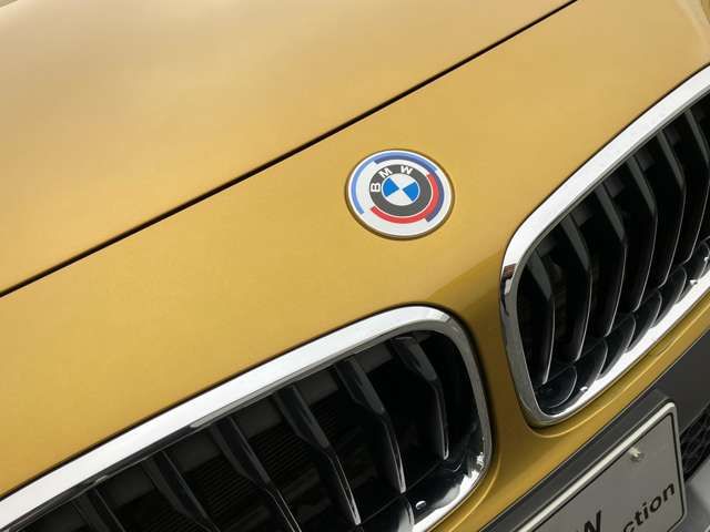 Bmw X2 2022-11 193209-5
