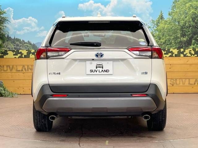 Toyota RAV4 2020-02 191969-15