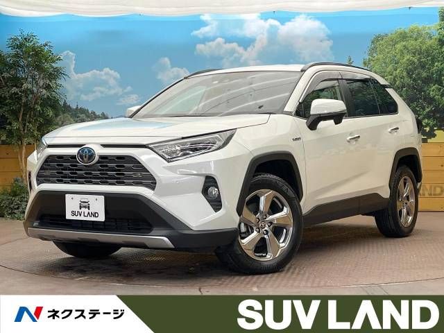 Toyota RAV4 2020-02 191969-0