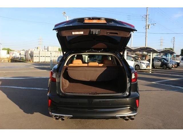 Lexus RX 2016-12 6483-11