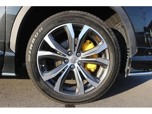 Lexus RX 2016-12 6483-7