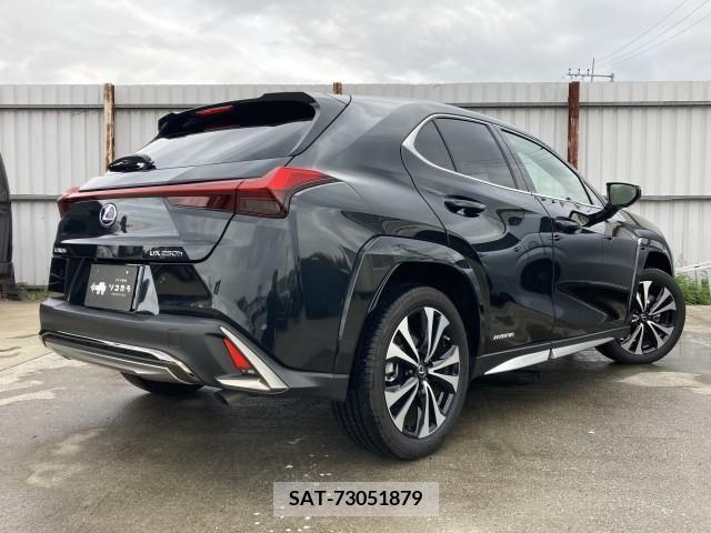 Lexus UX 2021-09 276973-5