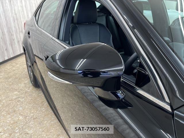Lexus IS 2013-07 216257-13