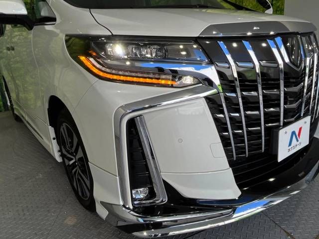 Toyota ALPHARD 2022-02 193173-11