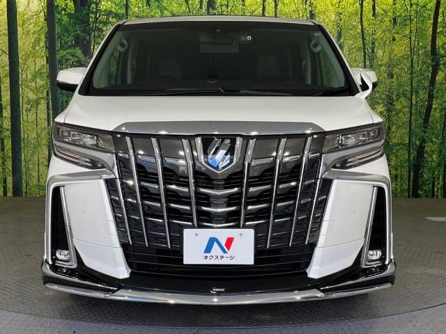 Toyota ALPHARD 2022-02 193173-13