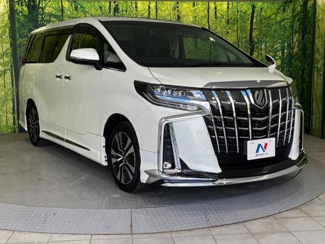 Toyota ALPHARD 2022-02 193173-16