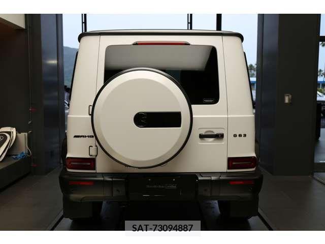 Amg G-CLASS 2022-12 317725-7