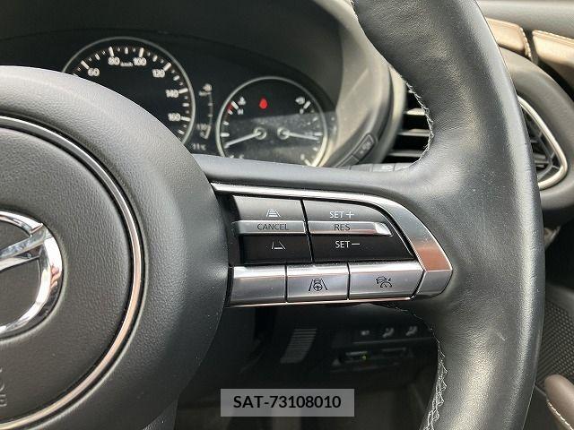 Mazda CX-30 2020-03 302104-15