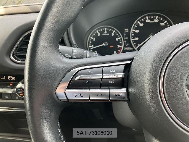 Mazda CX-30 2020-03 302104-14