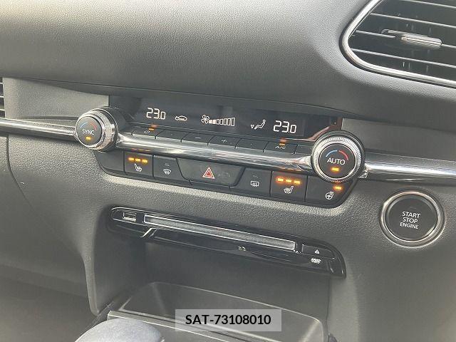Mazda CX-30 2020-03 302104-10