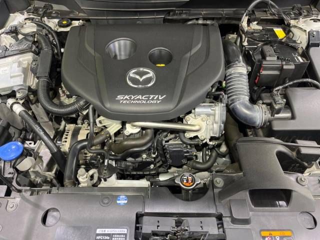 Mazda CX-3 2015-04 13676-18